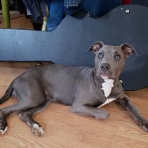 Meet your Posher, Angie